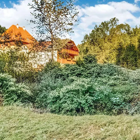 Apartment Thuringian Forest With Balcony