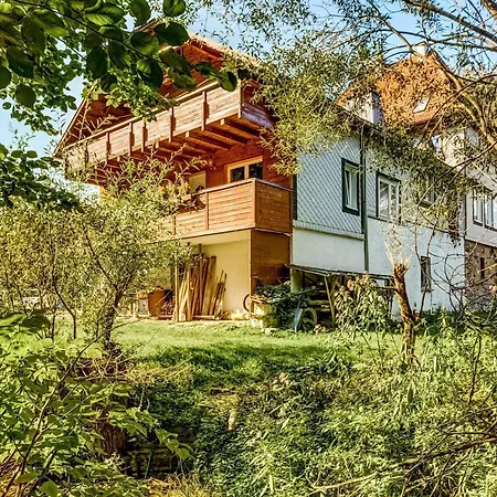 Apartment Thuringian Forest With Balcony *