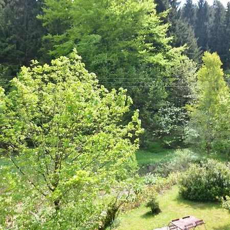 Thuringian Forest With Balcony Giessubel