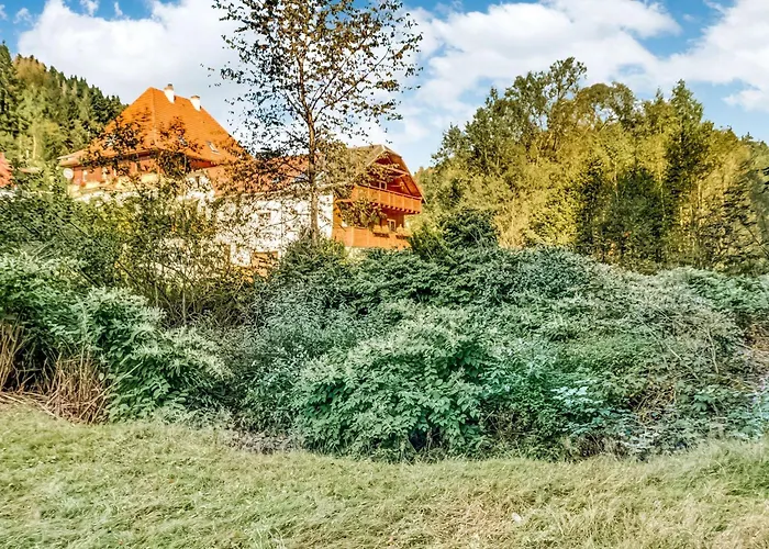 Daire Rustic Black Forest Getaway