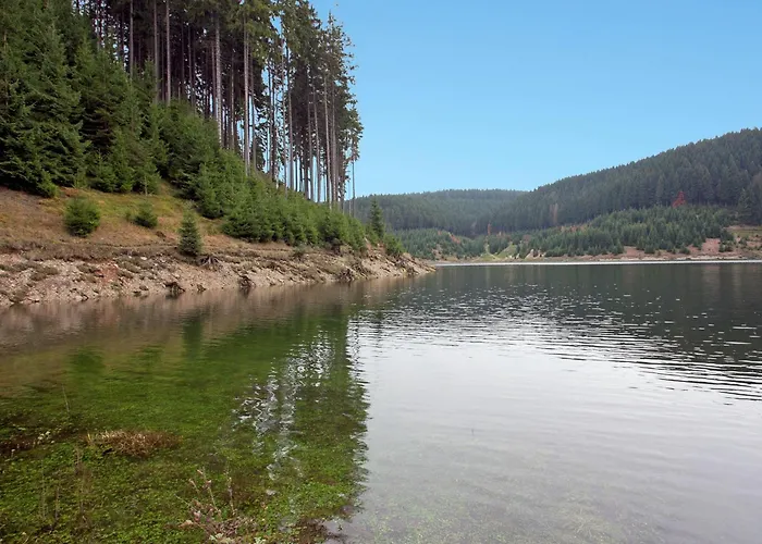 Daire Rustic Black Forest Getaway